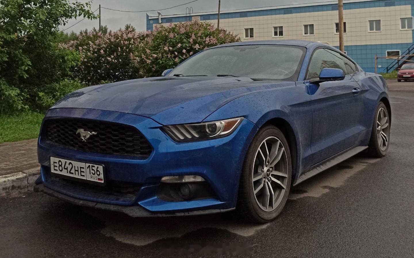 suzuki grand vitara / ford mustang / hyu