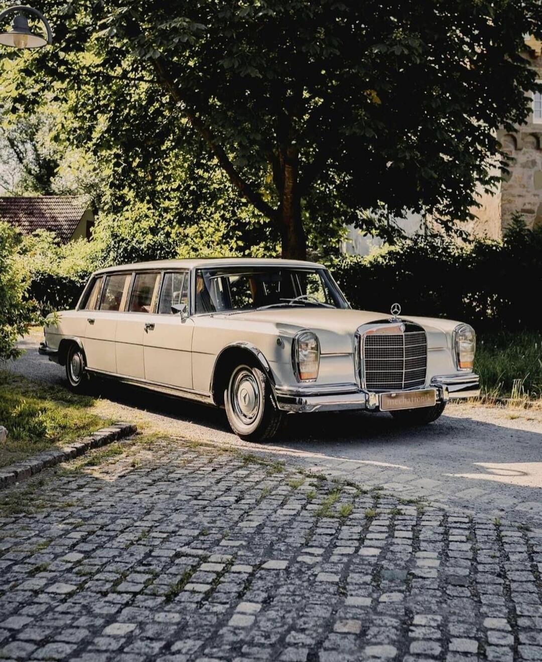 奔驰pullman w100