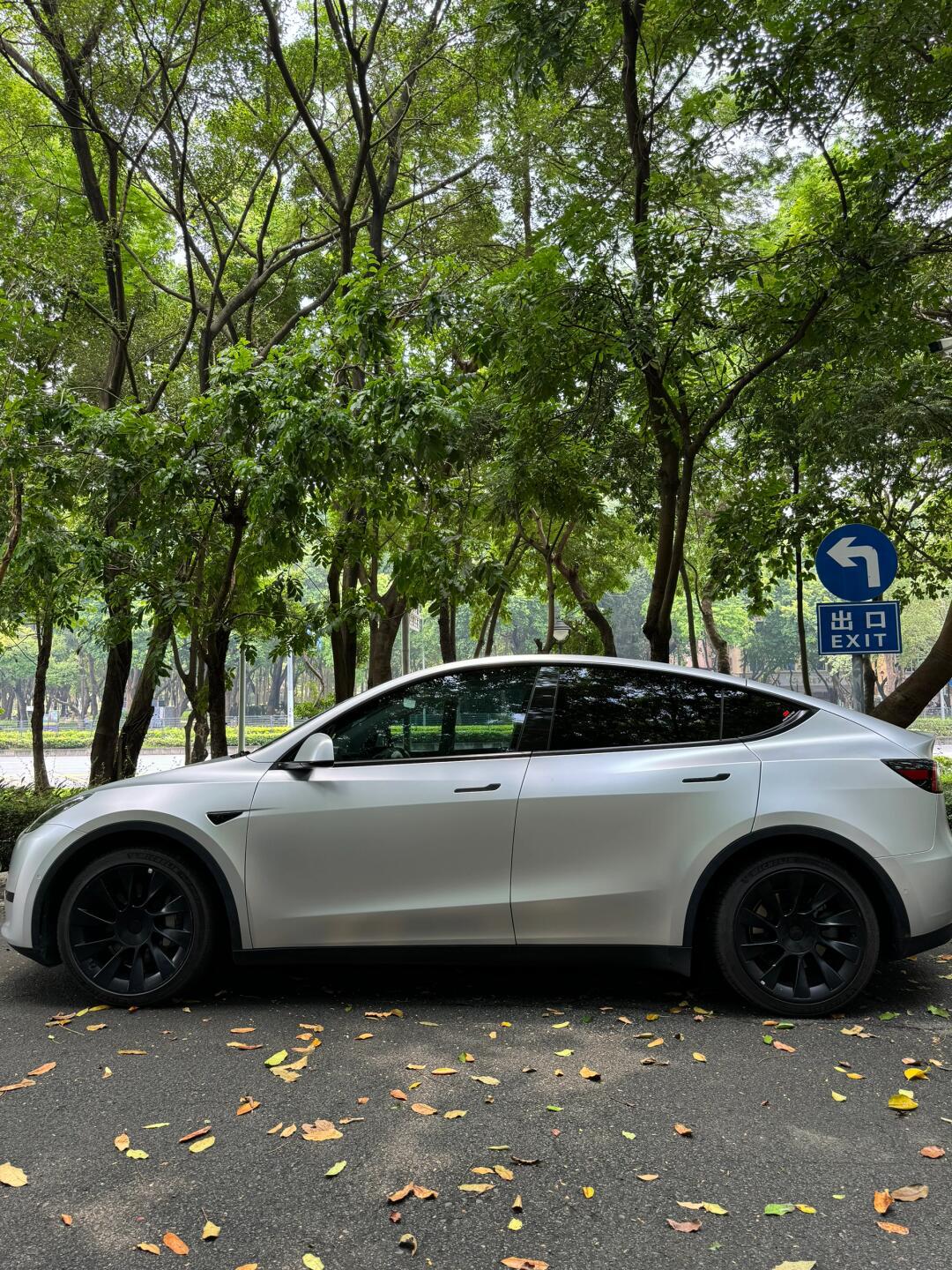 特斯拉model y 