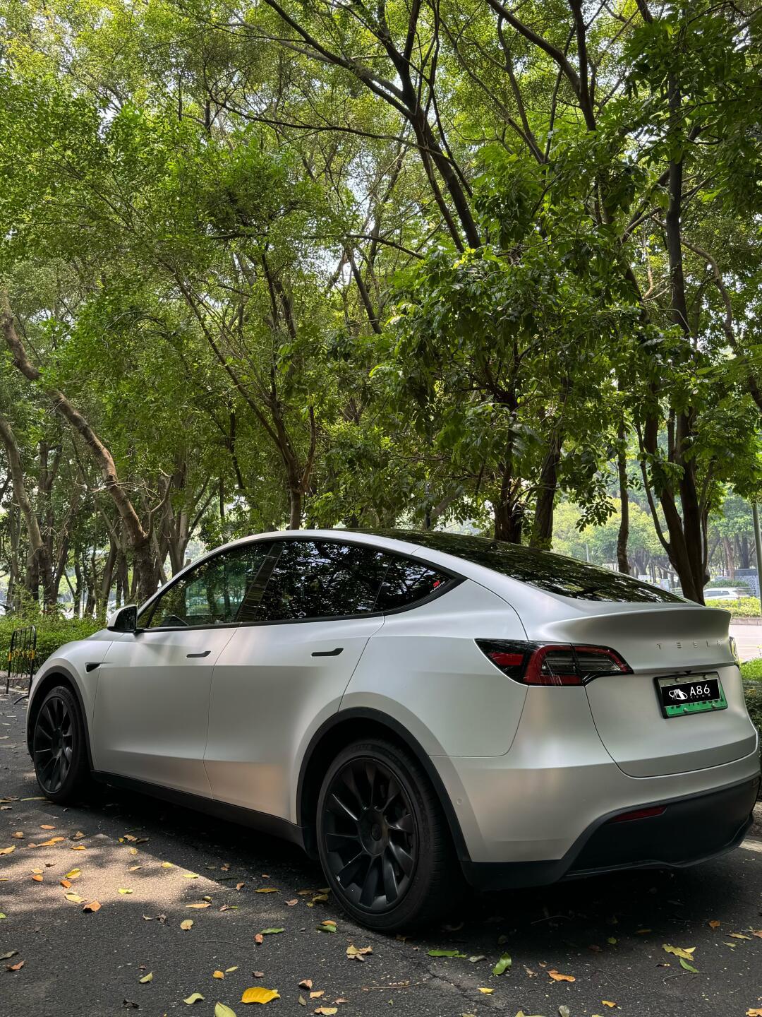 特斯拉model y 