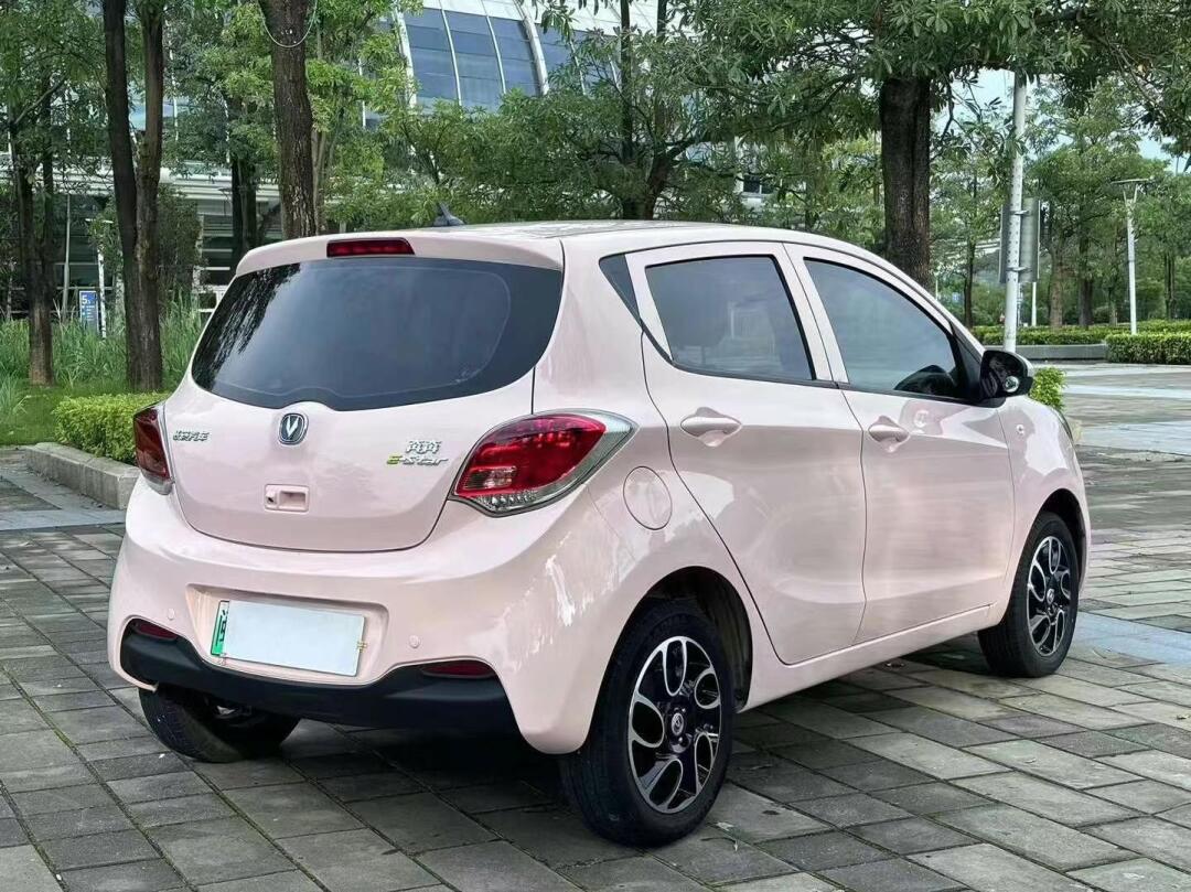 【车辆型号】:长安奔奔 【登记日期】:2021年12月 【表显里程】:2.8万