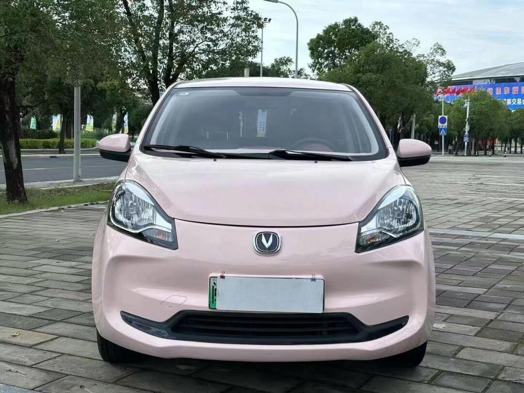 【车辆型号】:长安奔奔 【登记日期】:2021年12月 【表显里程】:2.8万