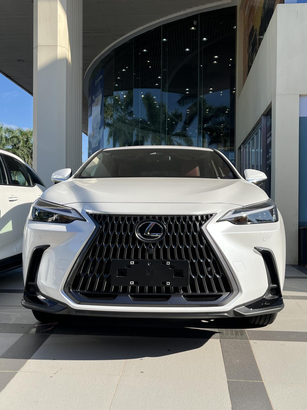 雷克萨斯nx日常视角!