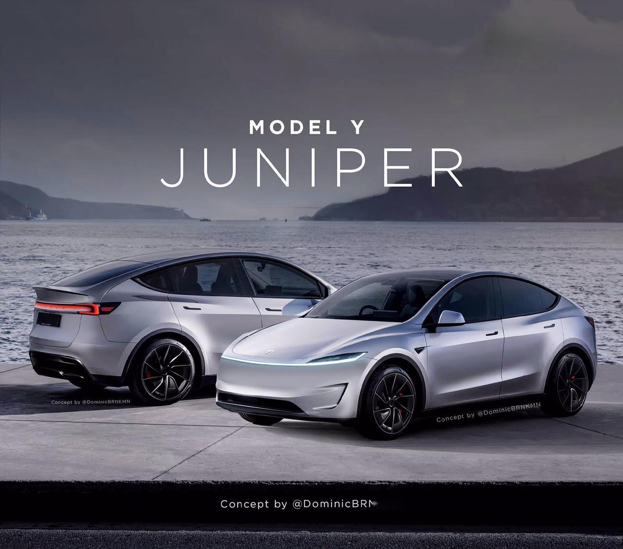 model y 新款图片