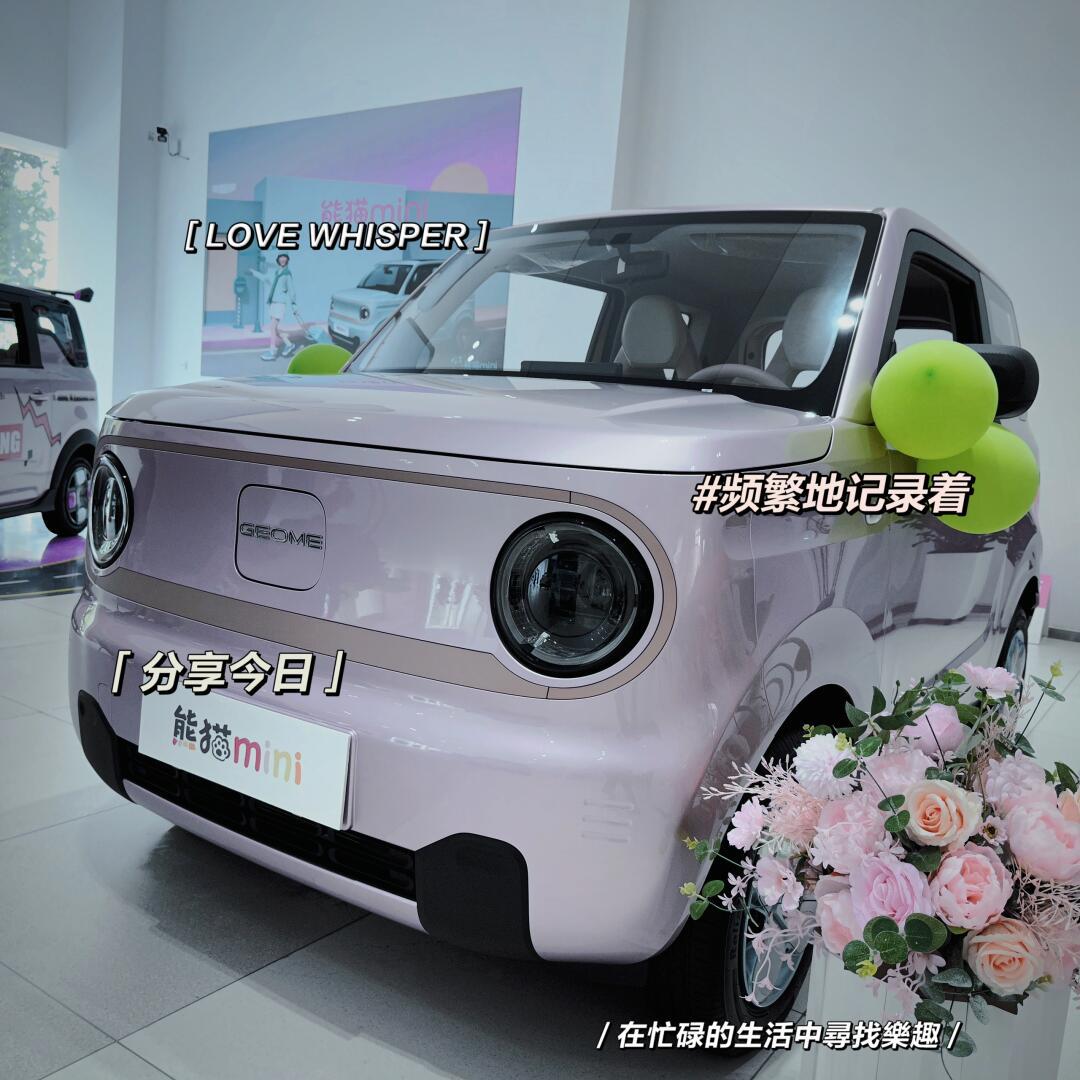新能源小车车吉利熊猫mini