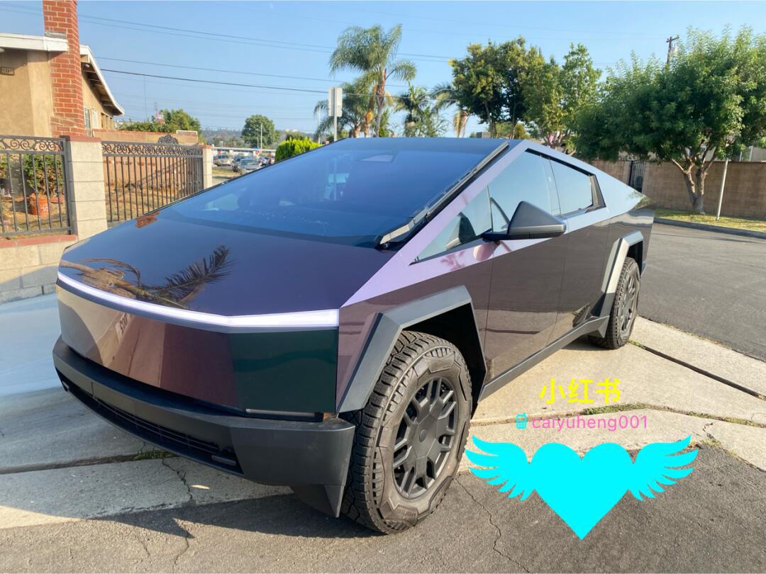 赛博皮卡 全车草绿妃红变色龙