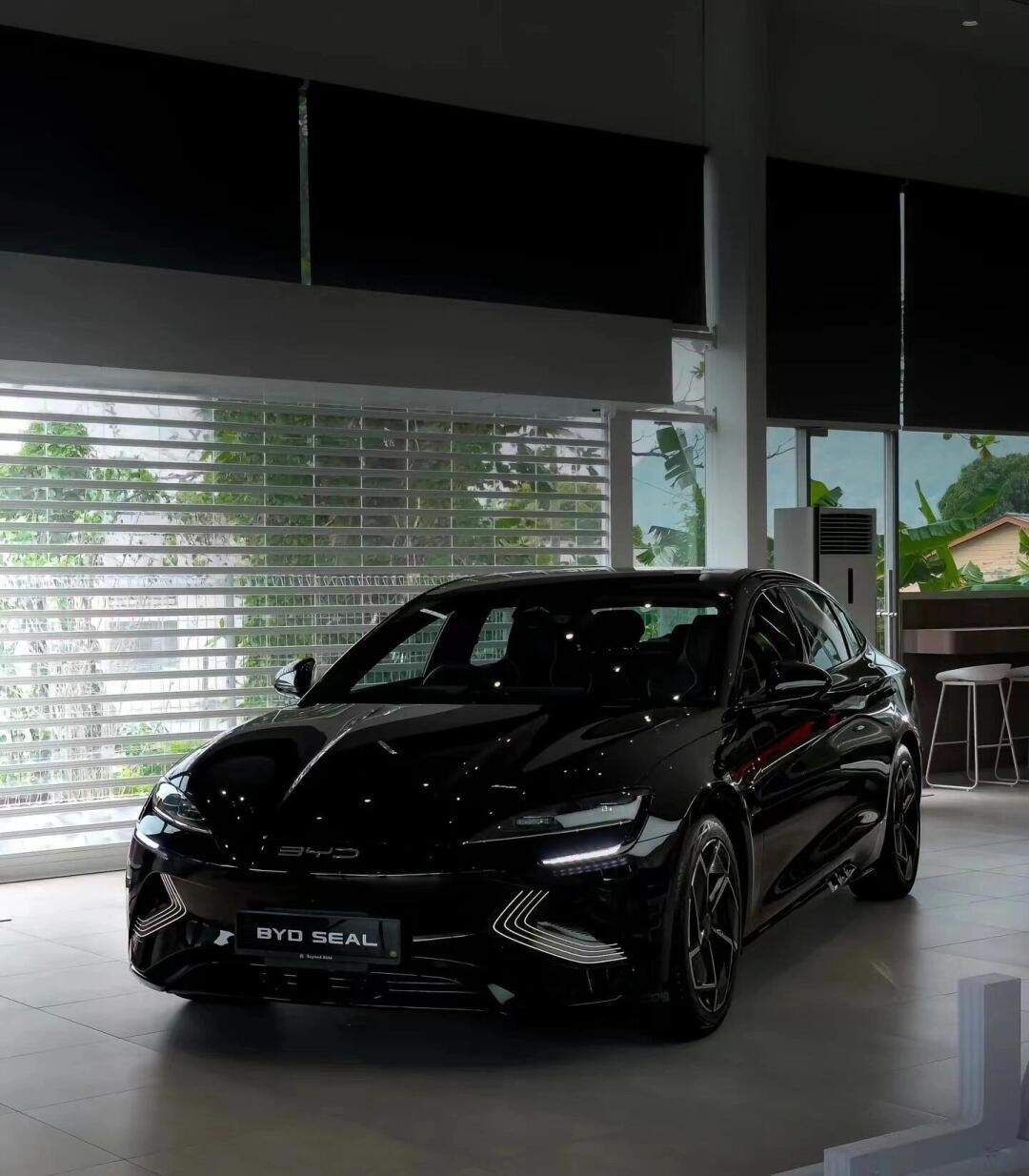 比亚迪海豹ev速度与颜值的担当