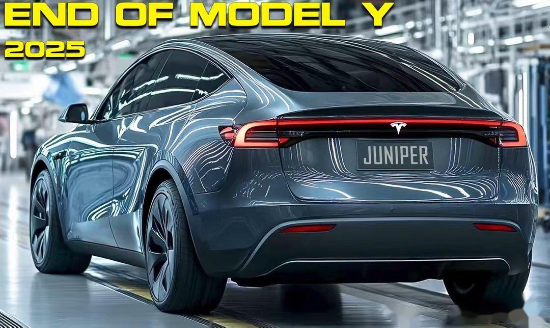 model y 新款图片