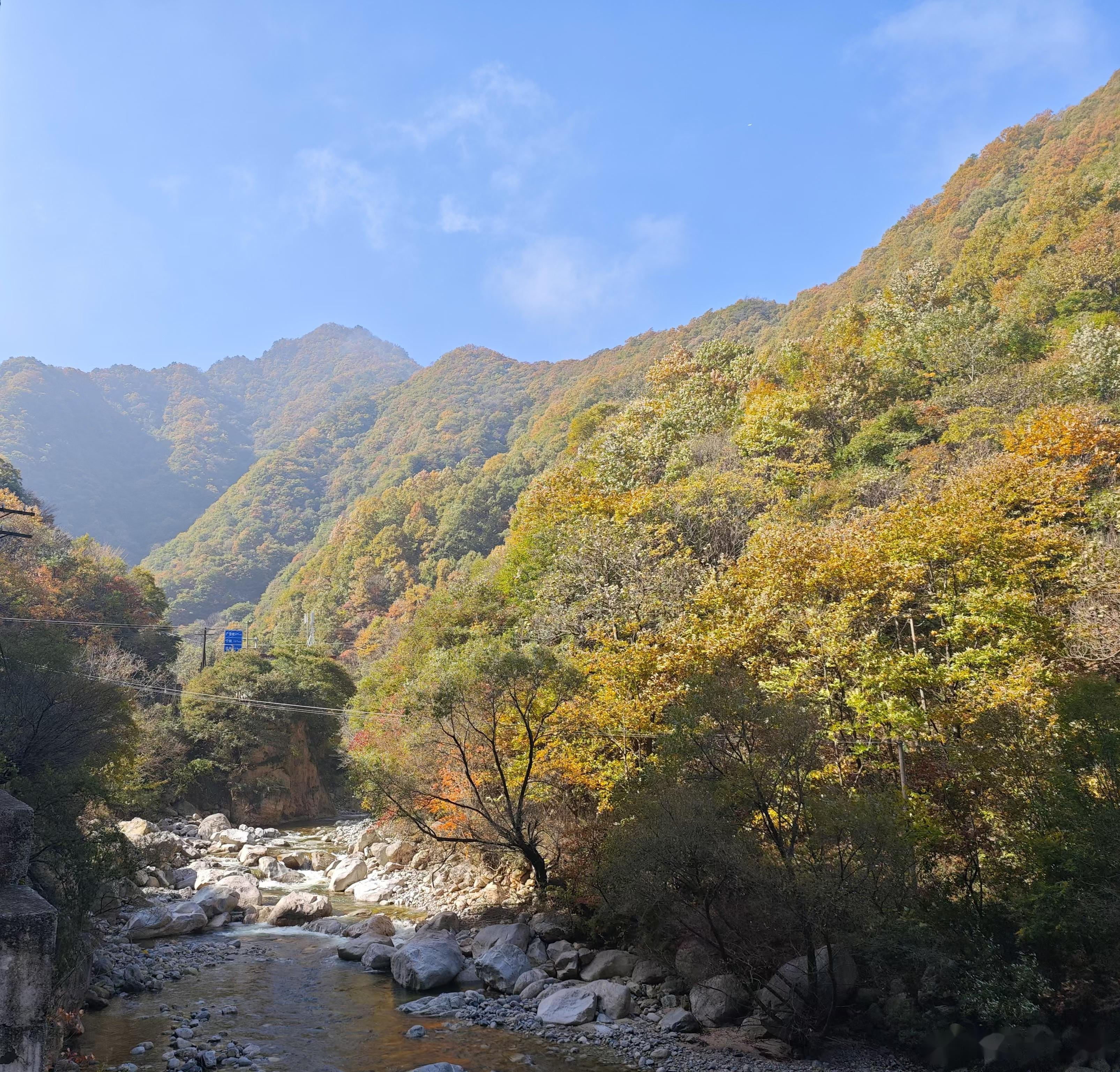 秦岭沣峪口图片