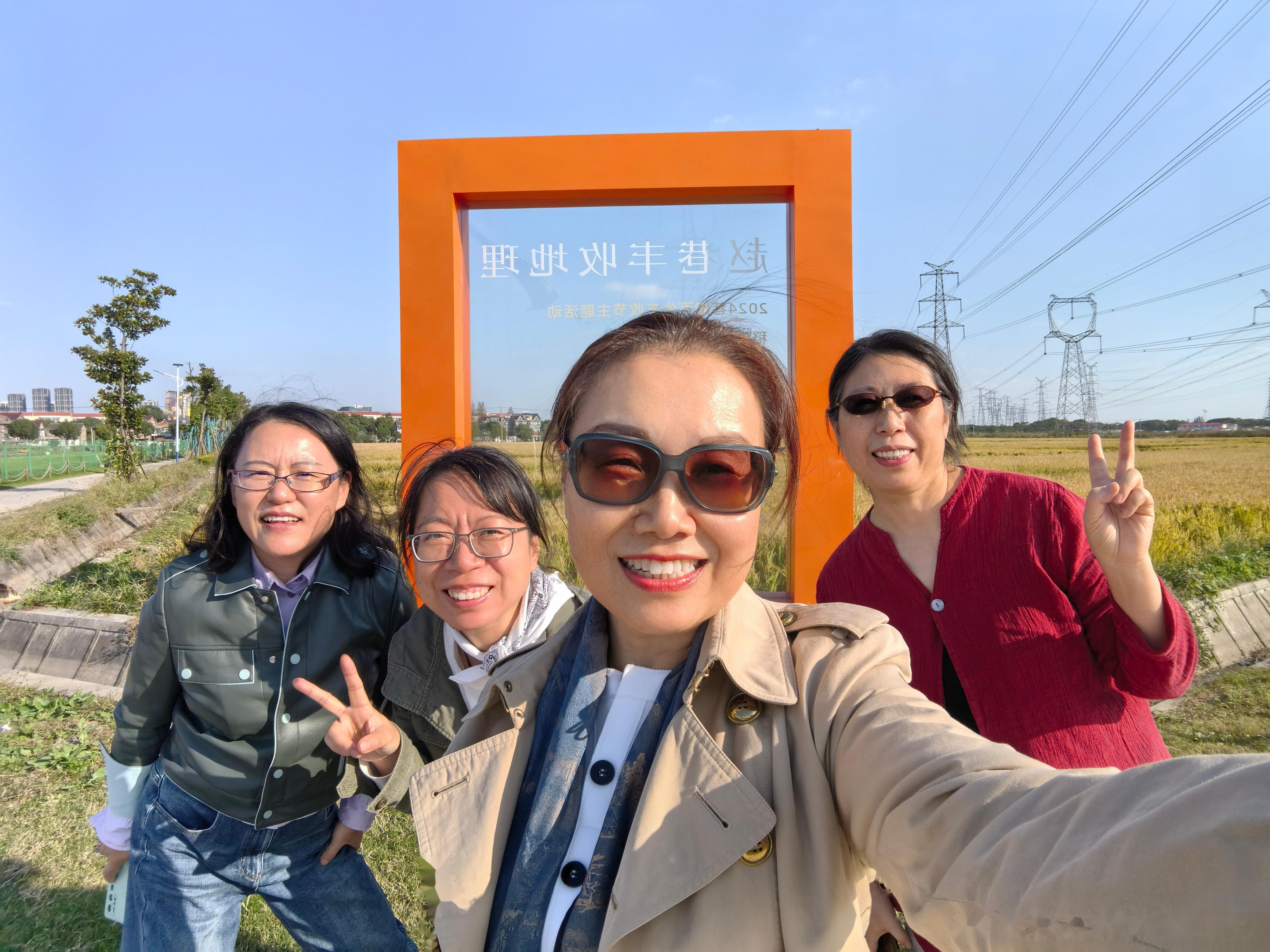 秋高气爽,天蓝稻黄,青浦赵巷的和睦村,度假休闲好去处.
