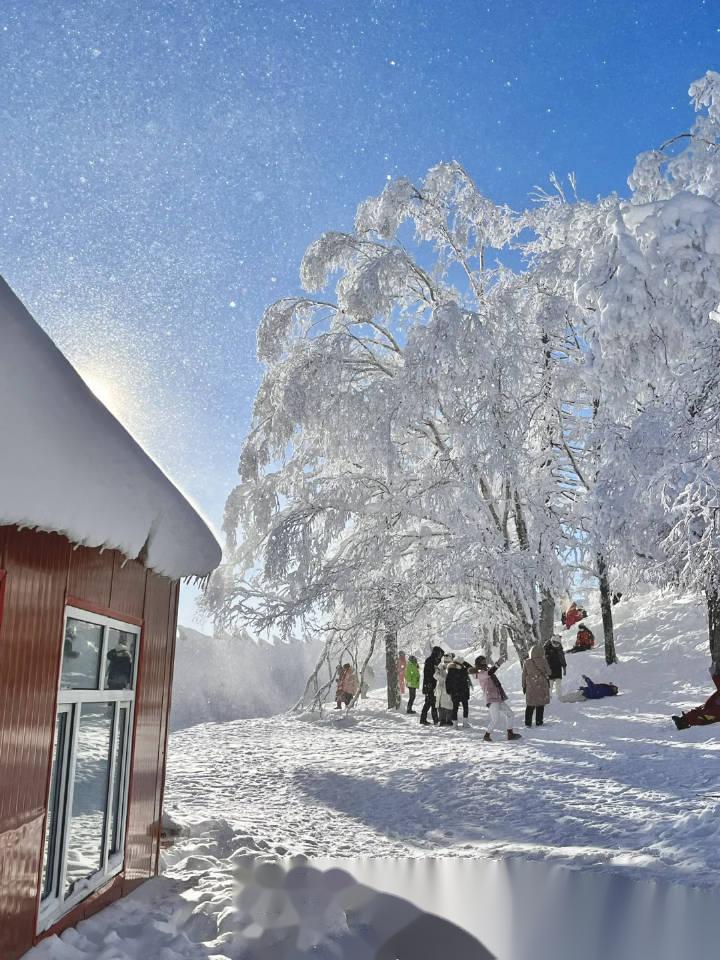 北方下雪图片真实图片