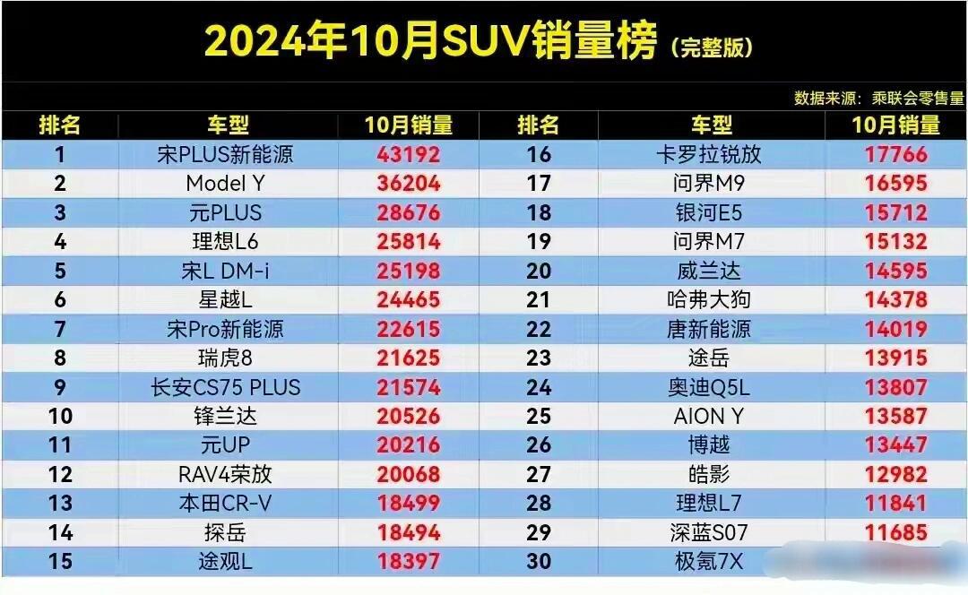 2024年10月suv销量排行榜