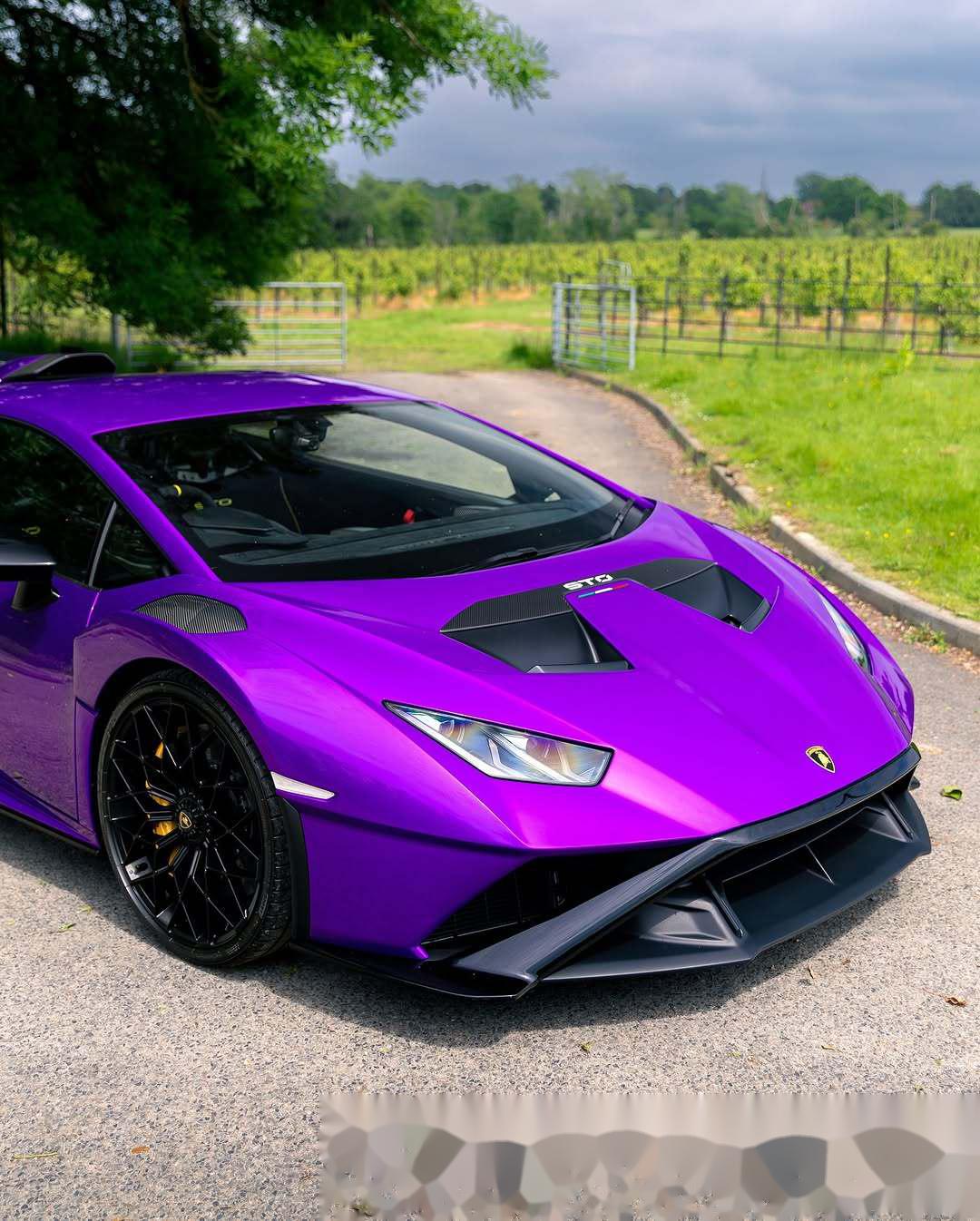 紫色兰博基尼huracan sto