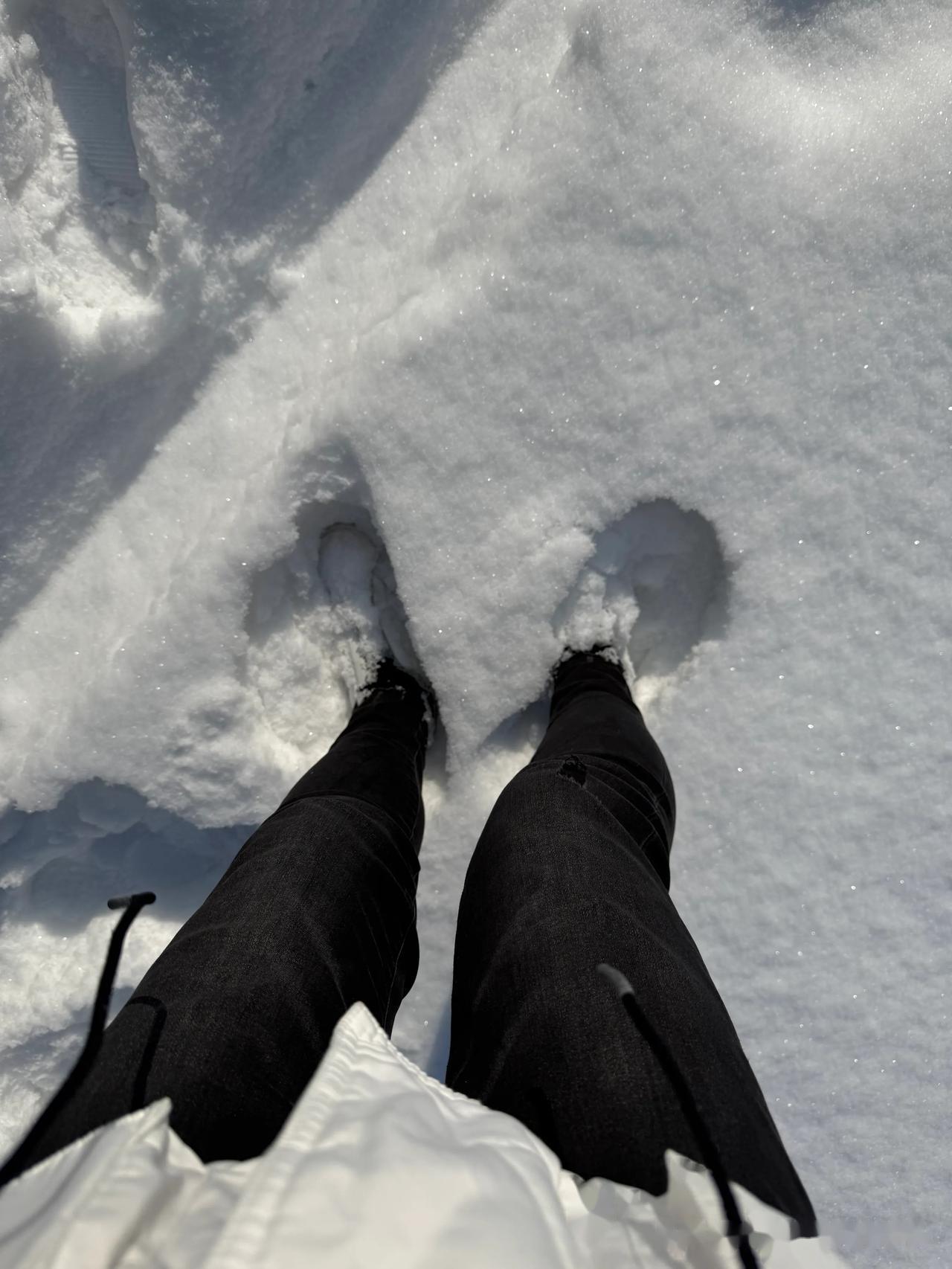 好奇有没有不换雪地胎的东北老铁?