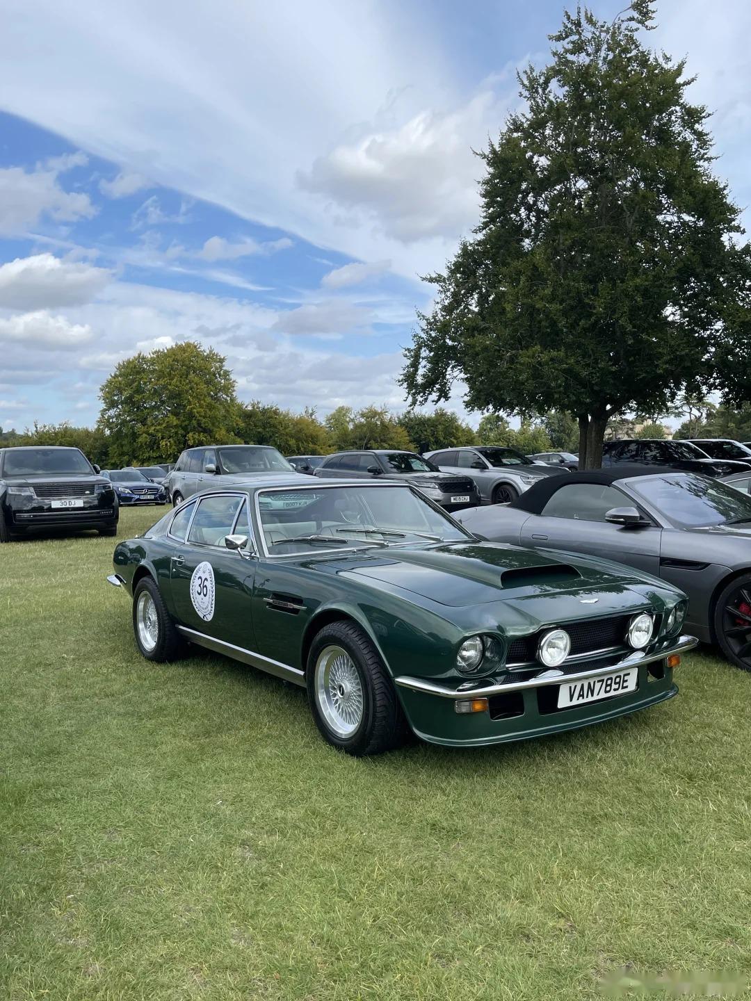 一些复古小车的草地聚会,jaguar e