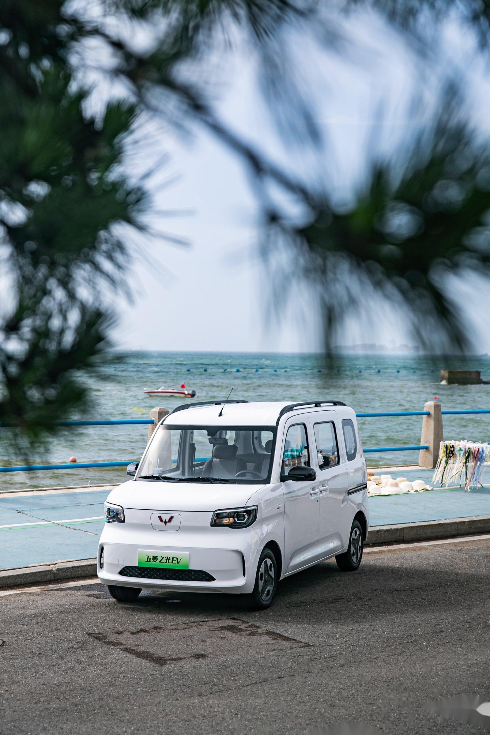 五菱之光ev305km进取型的到