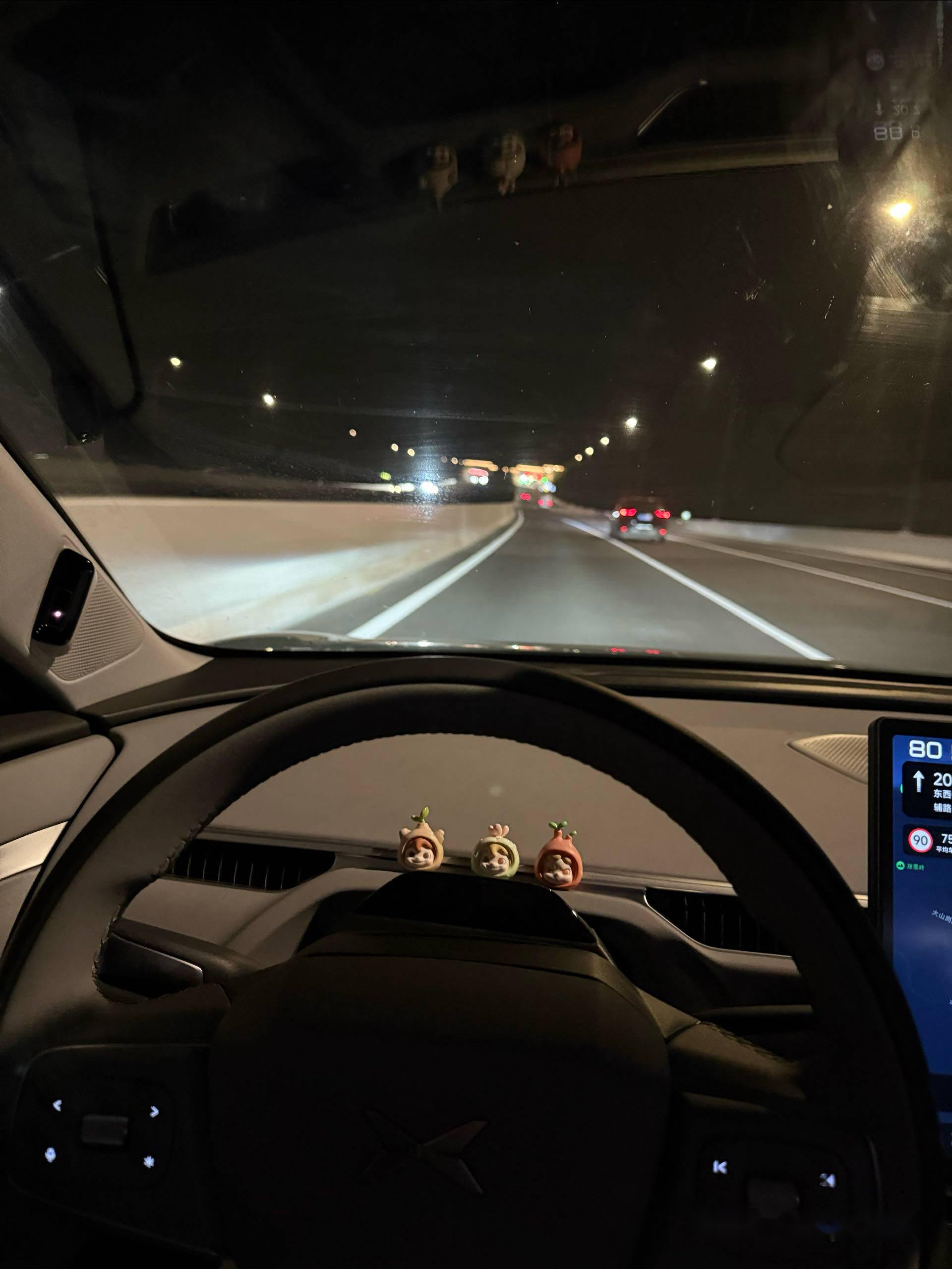mona第一次开高速夜车,真的好怕怕!