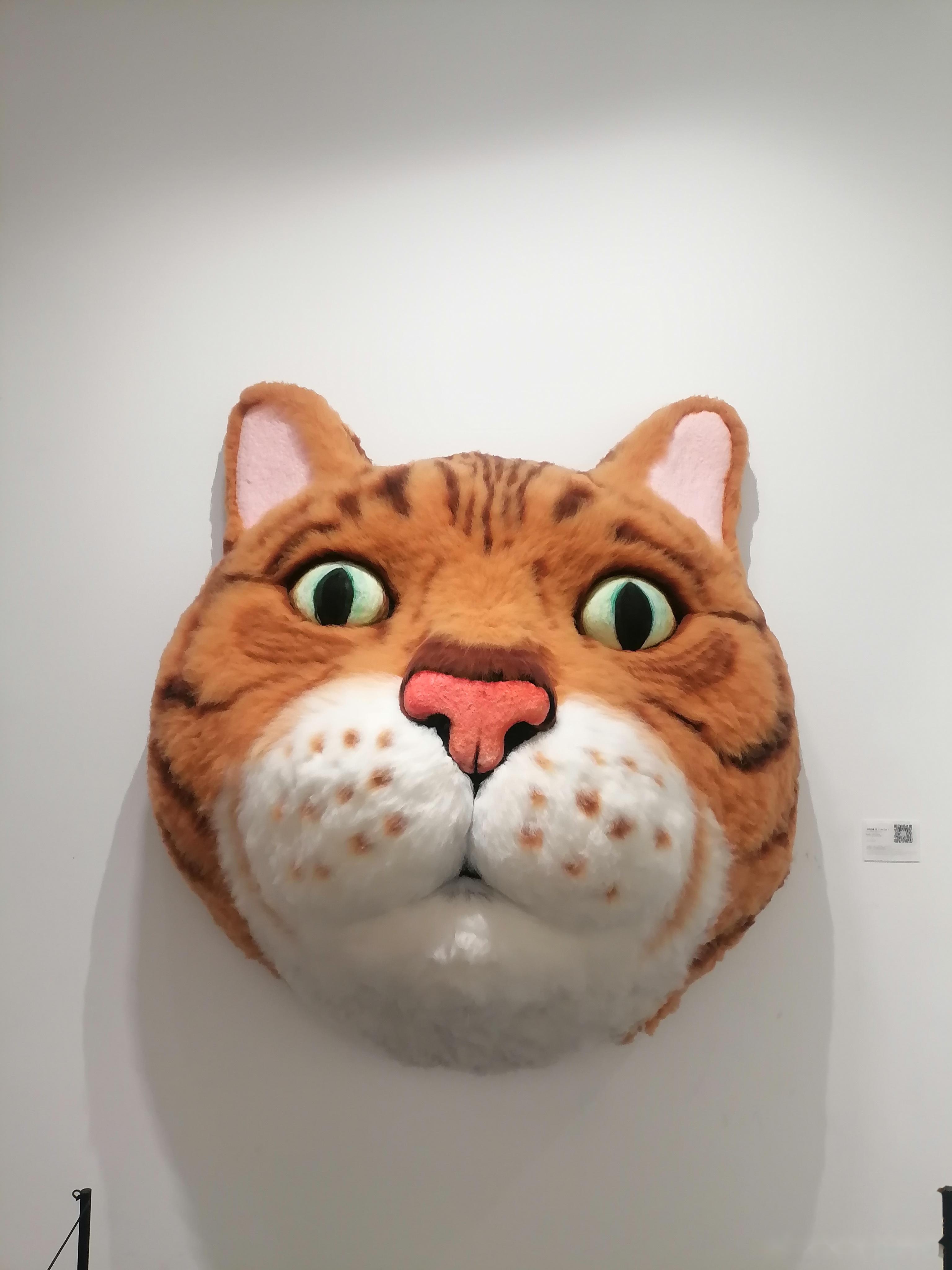 诚诚谈汽车的全部