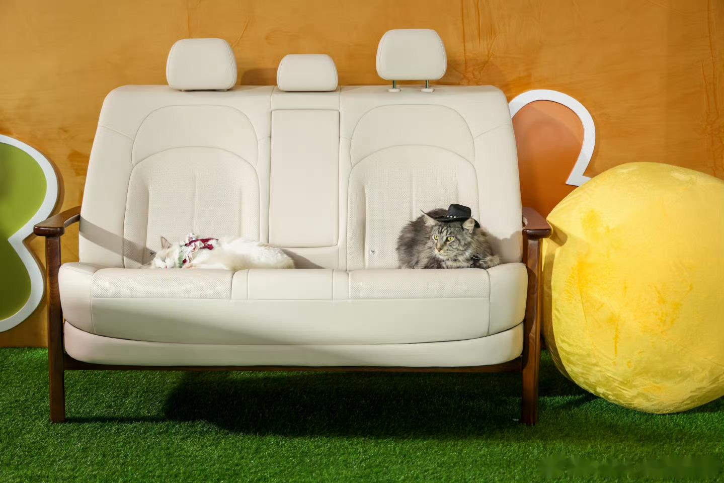 在n6的发布会现场,全场的座