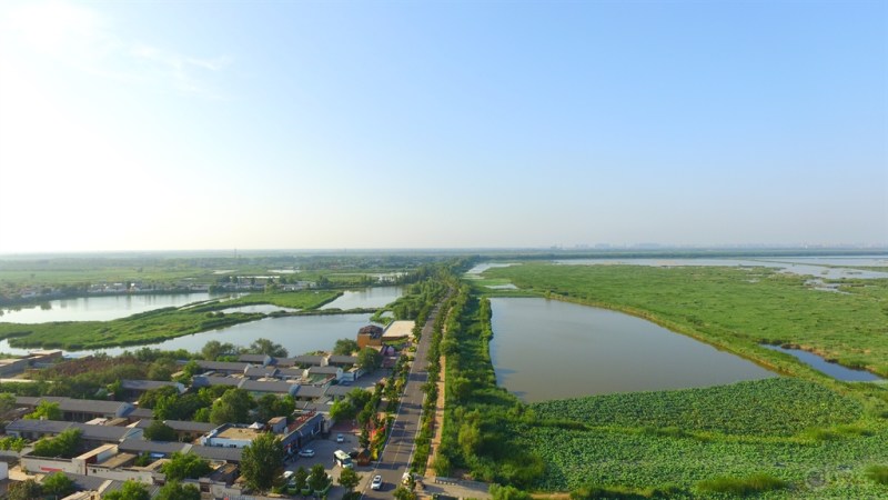 航拍衡水湖西岸