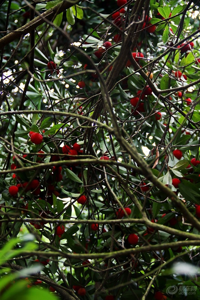 80sese.tk_tk335四海图库总站_tk.97hy.info