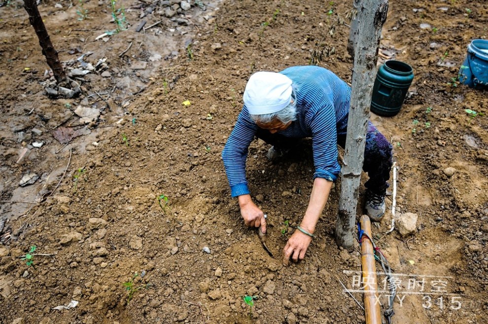 城市里的垦荒人【关注底层】