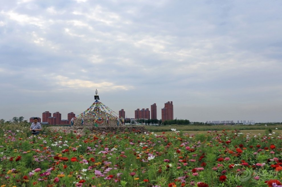 【北塘美丽的都市草原】_天津论坛图片集锦_汽车论坛-易车网