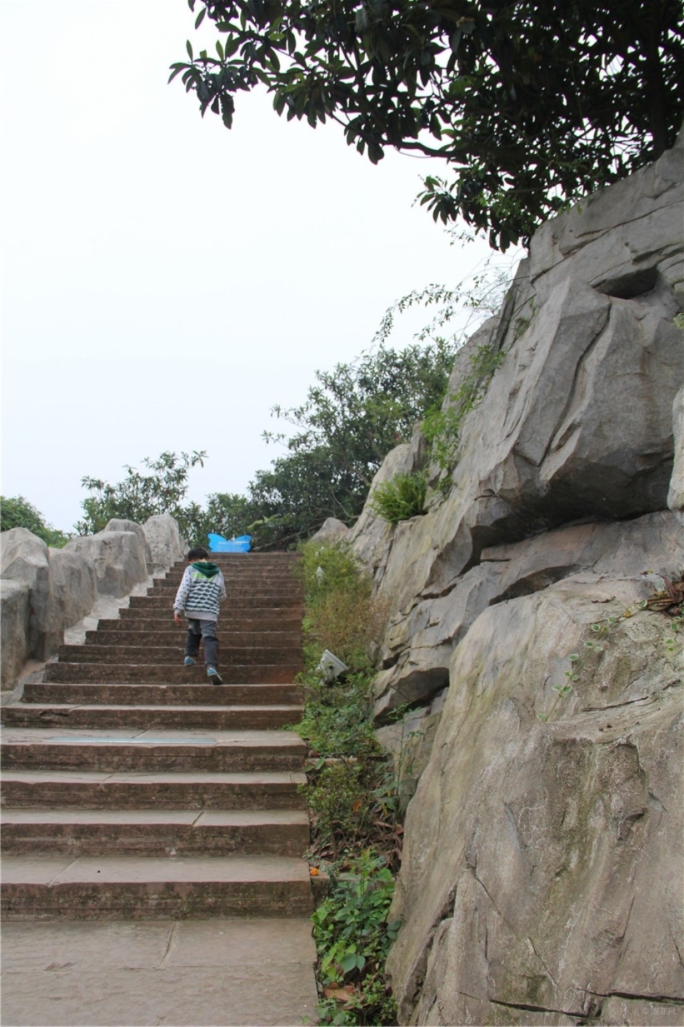 天然氧吧——(紫霞山健身步道)