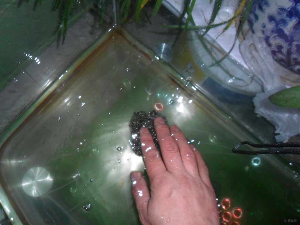 清洗家里的鱼缸