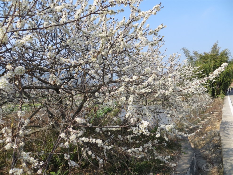 【首發】柳暗花明又一村