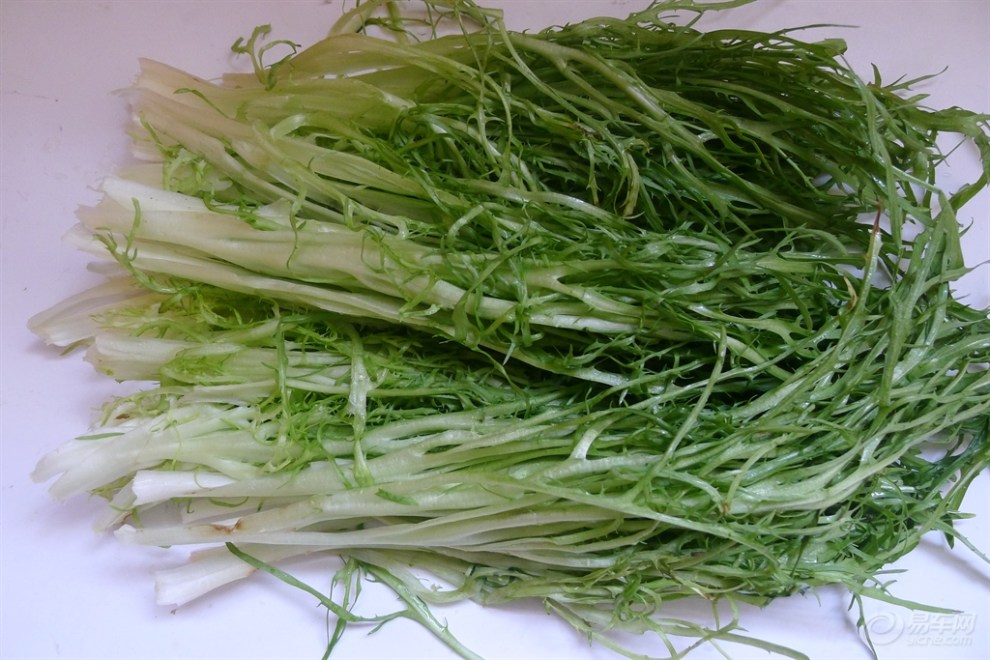 【快乐厨艺】糖醋苦菊