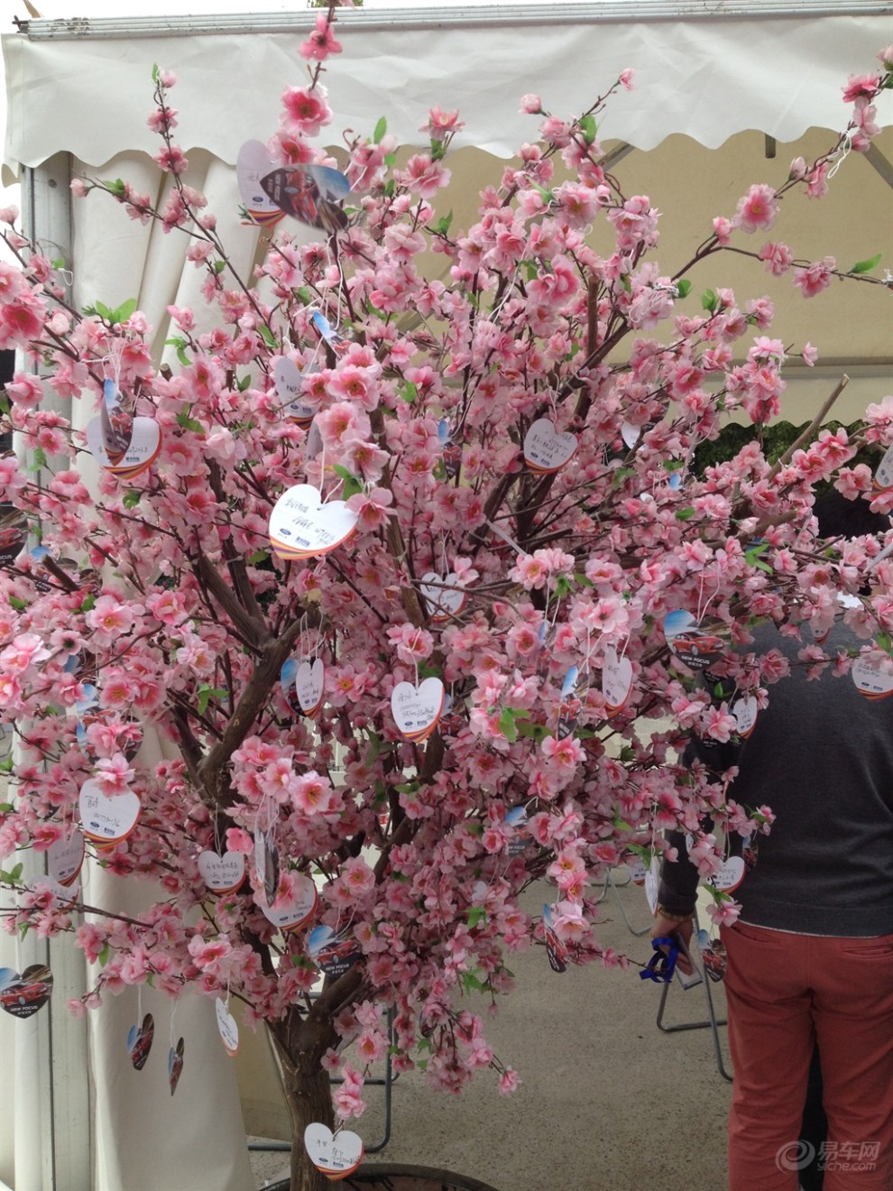 上海国际赛车场 小布之照片欣赏