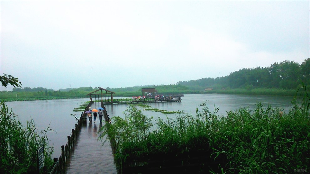 【申精】遊溱湖國家溼地公園,大量漂亮圖片哦!