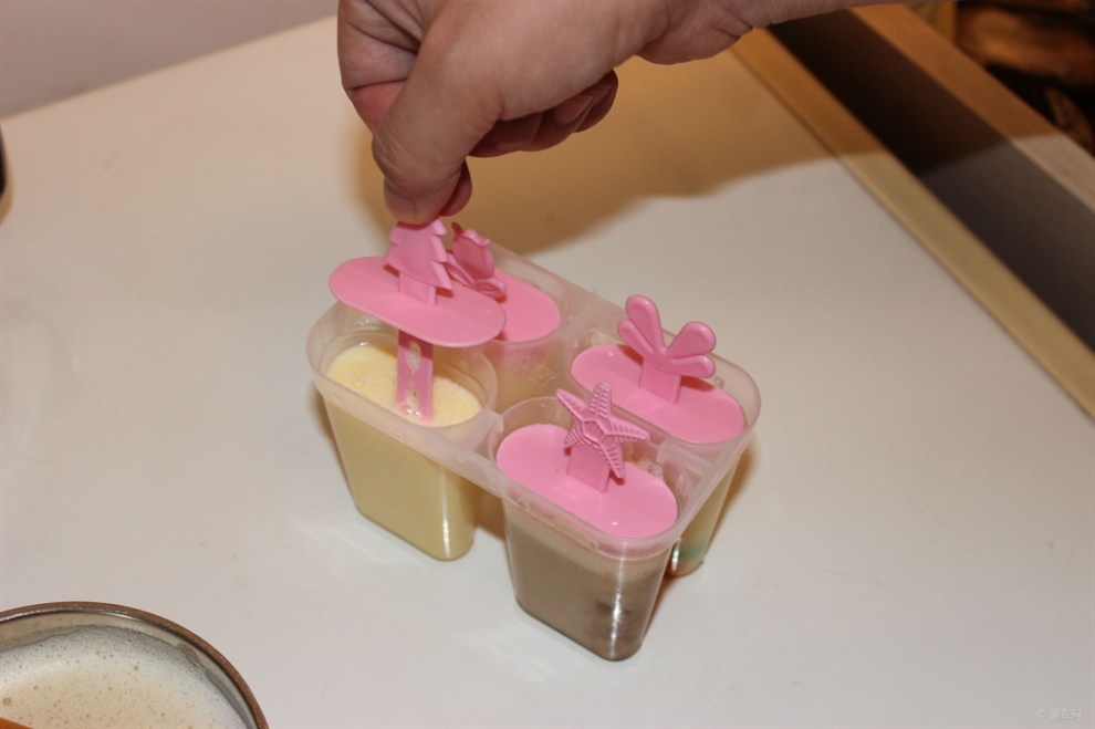 【美味日志】自己做雪糕冰棍儿