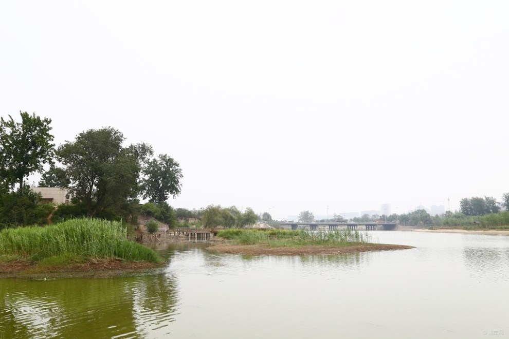 西流湖公園的美與惡