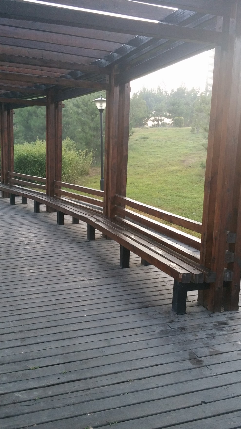 公园的绿色走廊