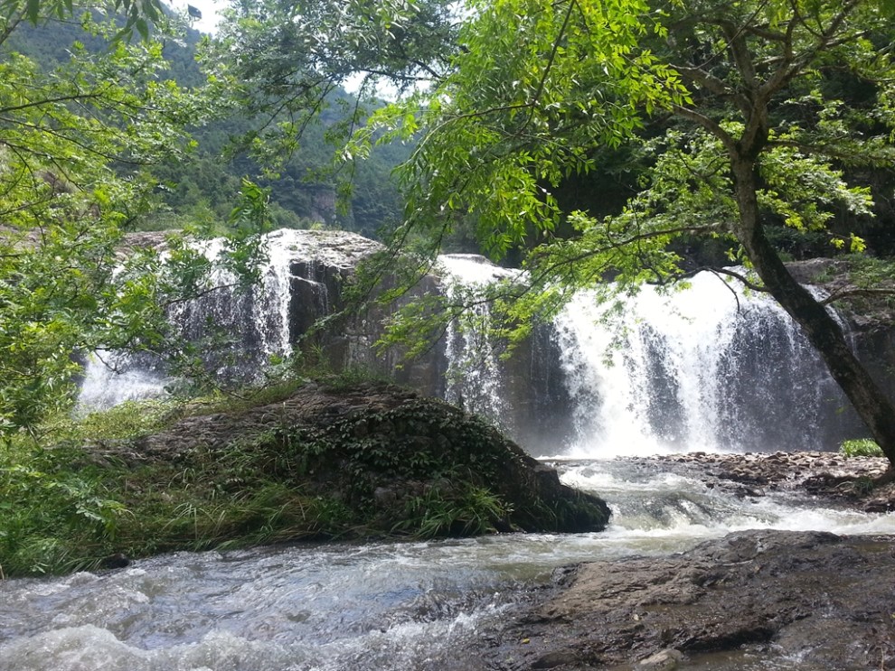 【夏日麼麼茶】自駕