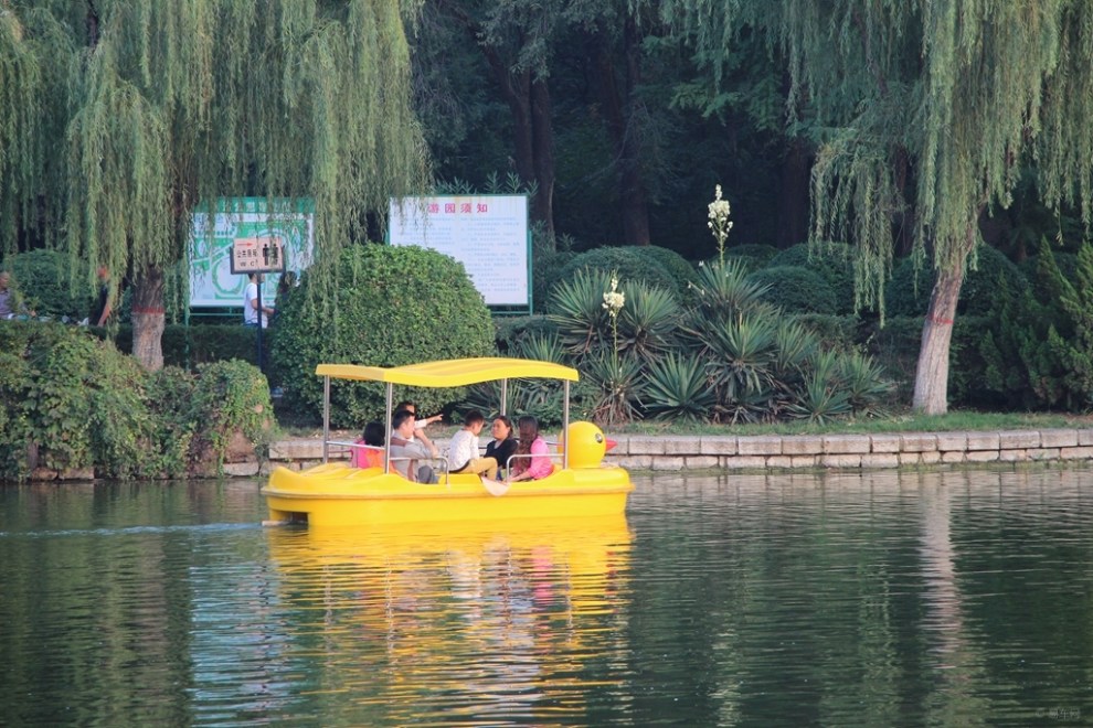 《精華貼大比拼》到公園去划船