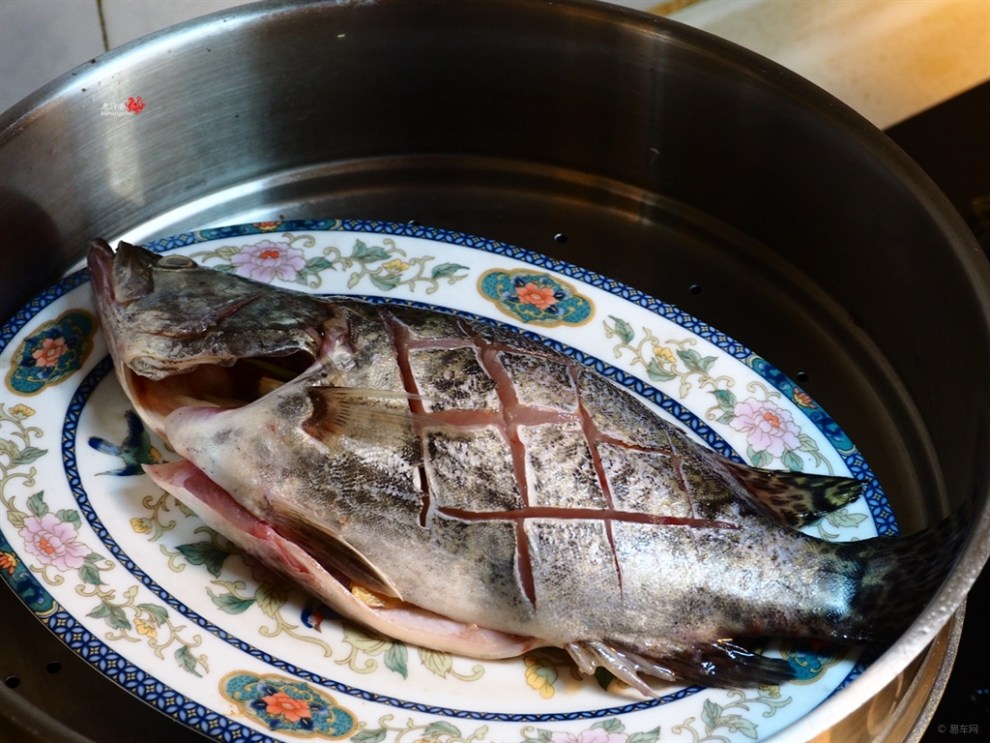 【食尚玩家第一季】麻辣蒸鱼(星期五)