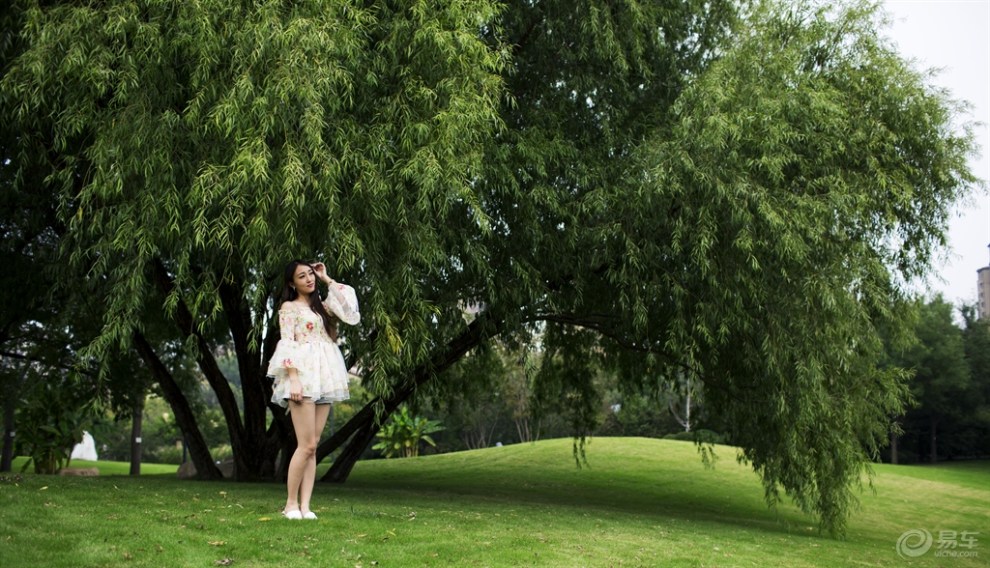 刀锋俱乐部〕[大溪地外景美少女]