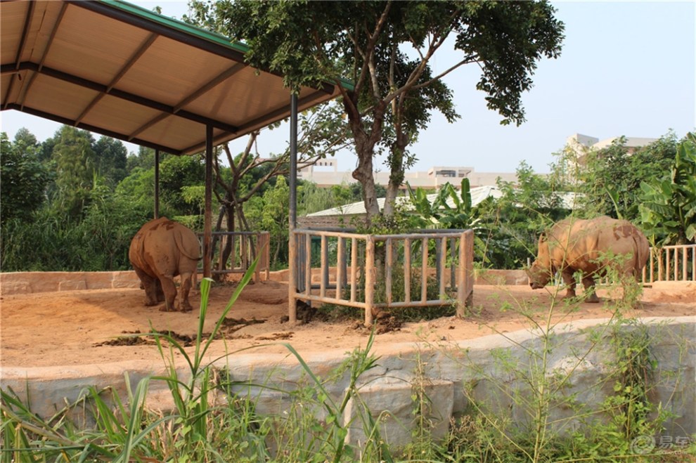 【國慶小長假精品遊記】走進東莞香市動物園