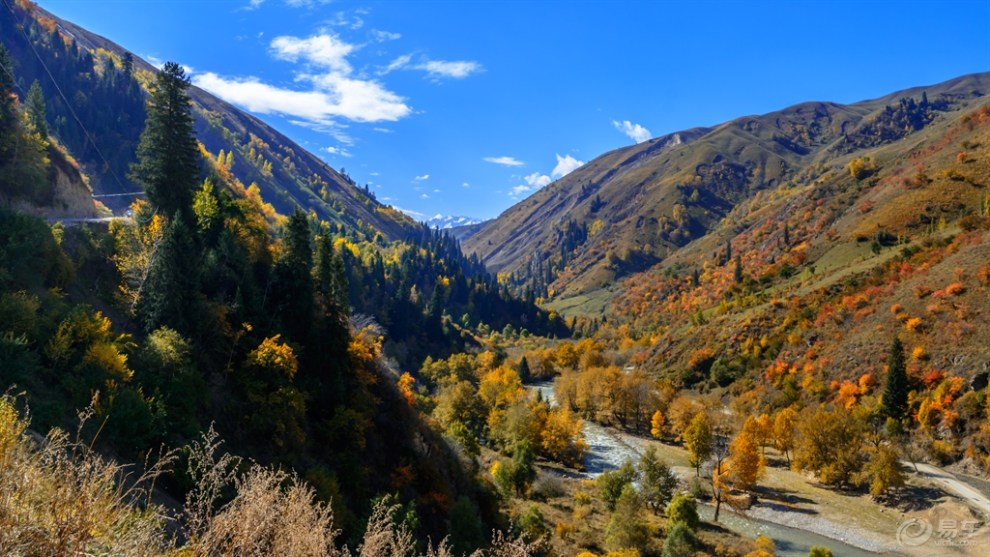 25】走进西天山 寻觅新疆最美的秋