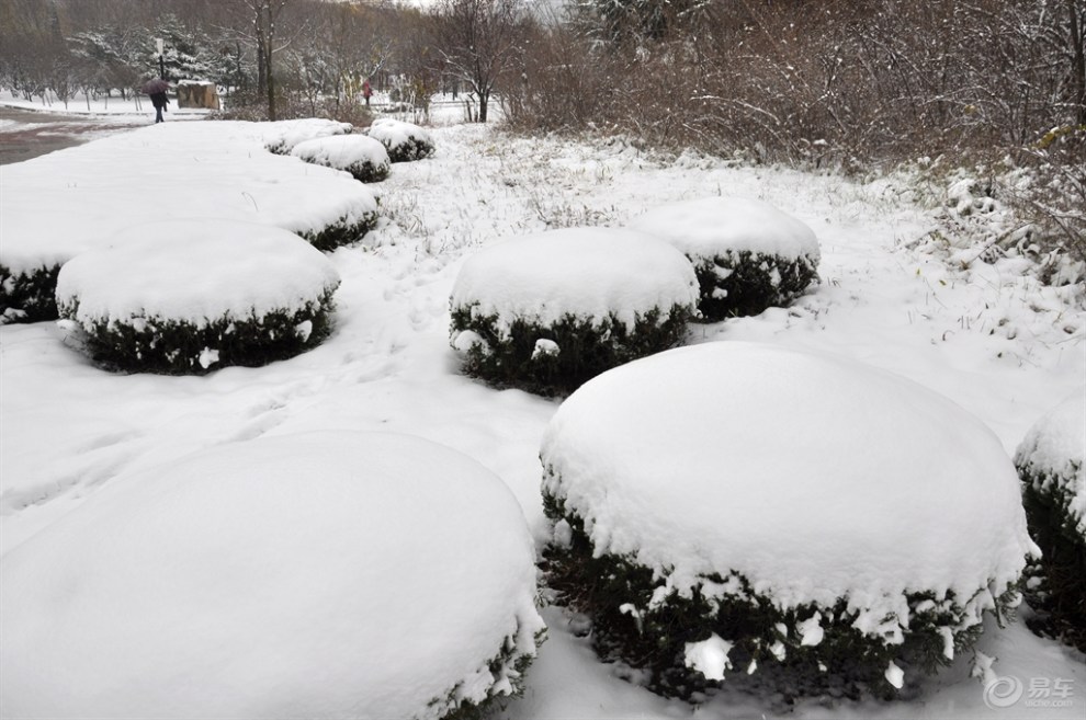 【我眼中的冬日情懷】2015年的第一場雪