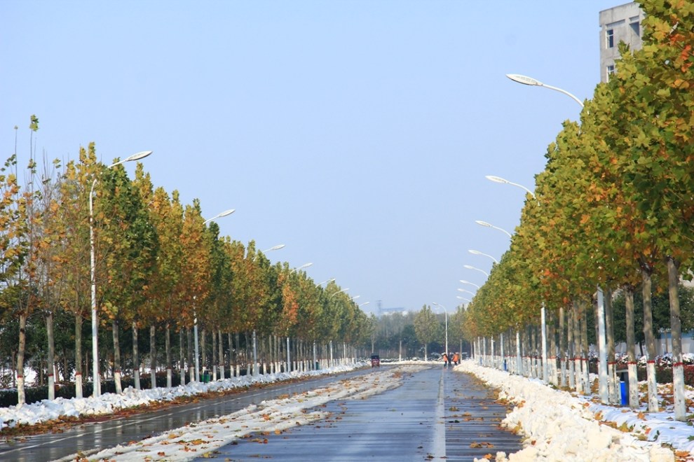 【美丽视点】探访风雪后的长葛葛天源