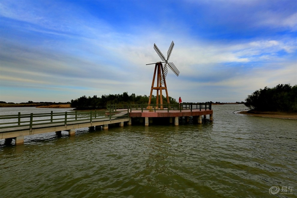 东营湿地-1