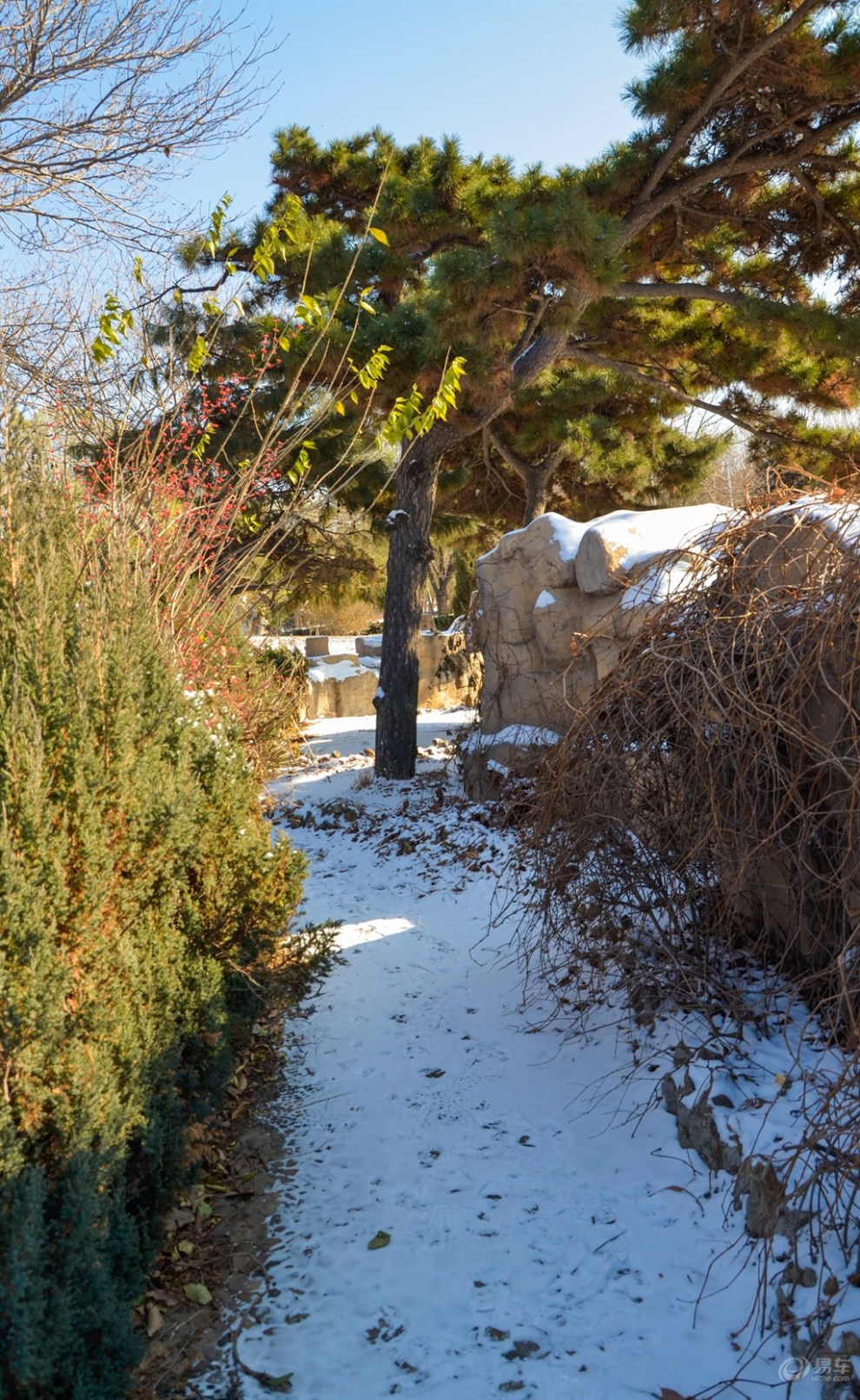 錦州古塔公園雪後隨拍