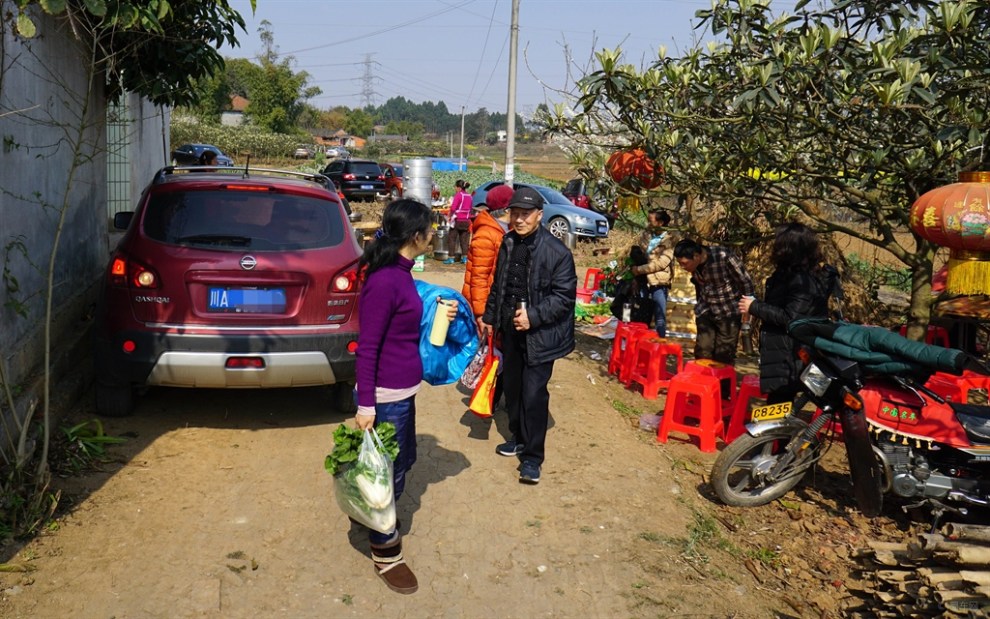 【巍巍雪山】三月八日携家人走亲访友,附带踏青