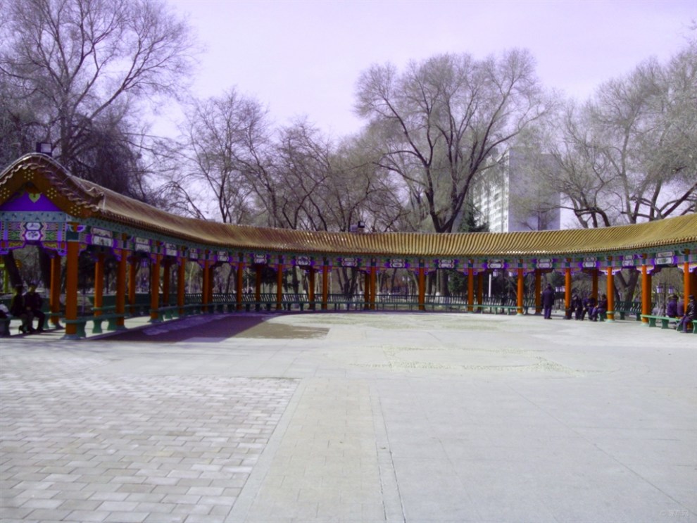 【每日图鉴】广场戏曲角