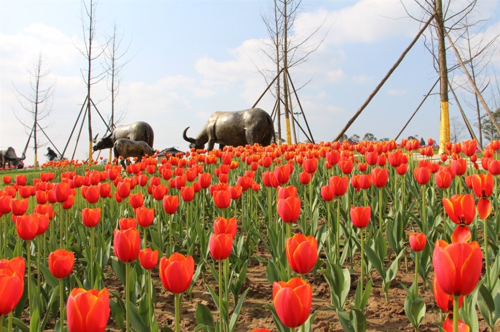 新春遊——南充市錦繡田園