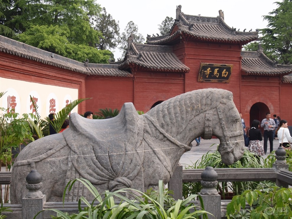 "津津有味俱乐部"洛阳行之第一古刹白马寺